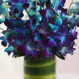 10 Blue Orchids Fish Bowl Arrangement