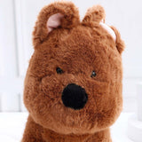 Brown Plush Dog Soft Toy