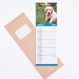 Puppies 2026 Wall Calendar With Envelope