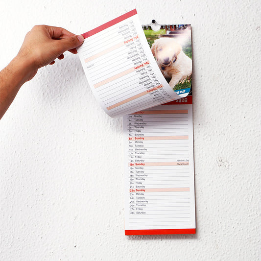 Puppies 2026 Wall Calendar With Envelope