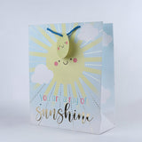 Beautiful Printed Paper Bags Pack Pack of 3