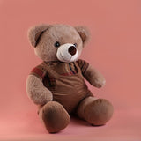 Beautiful Brown Bear Soft Toy 50cm