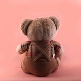 Beautiful Brown Bear Soft Toy 50cm