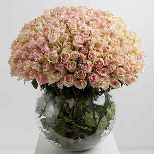 Pink Roses in Round Vase
