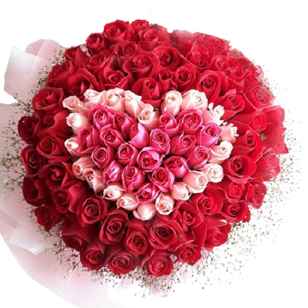 100 Pink And Red Rose Bunch