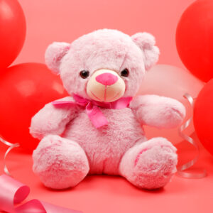 Pink Huggable Teddy Bear Soft Toy